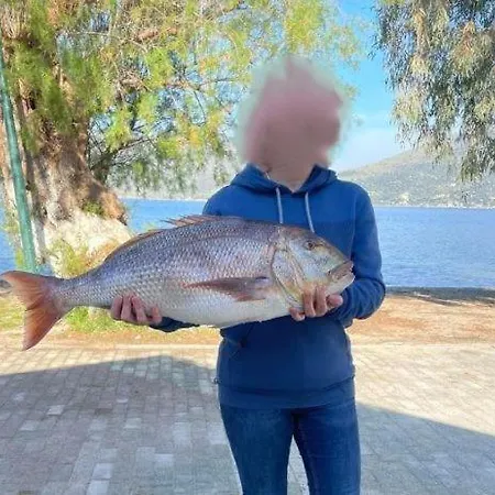 Ktima Alexandros Вилла *