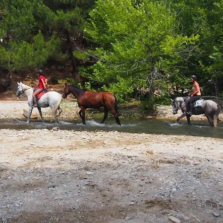 Вилла Ktima Alexandros *