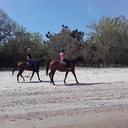 Вилла Ktima Alexandros *