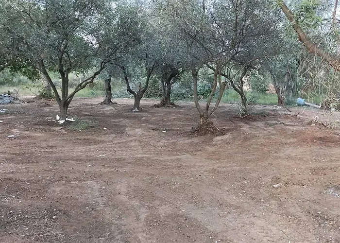 Ktima Alexandros فيلة *
