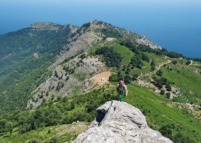 Ktima Alexandros 别墅 *