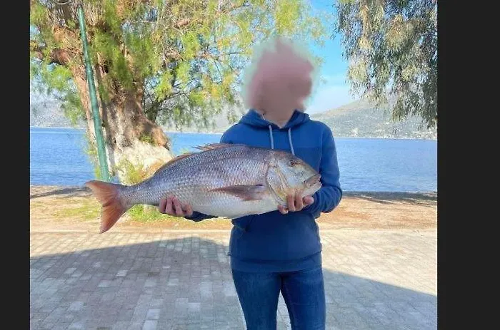 Ktima Alexandros 别墅 *