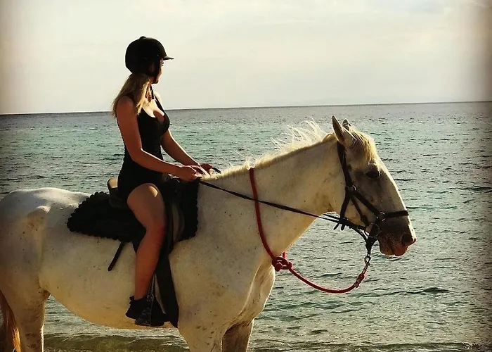 Ktima Alexandros